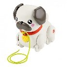 FP PUG PASEA